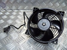 Gruppo ventola radiatore