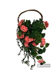 Cestino da Parete con Piante Cadenti