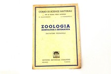 Zoologia Morfologia E