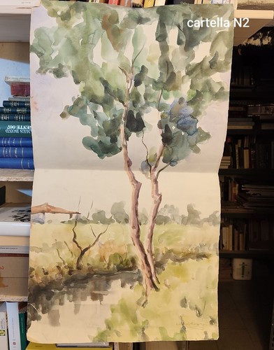 Acquarello paesaggio grande