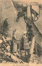 Gemsen Capricorno Capricorno