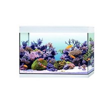 Acquario marino askoll pure - marino,