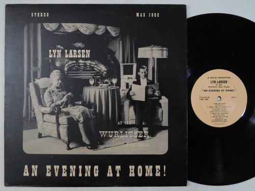 Lyn larsen evening home - an,