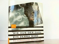 Wie aus der Zahl ein Zebra