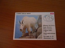 FIGURINA COLLEZIONE SCHEDE