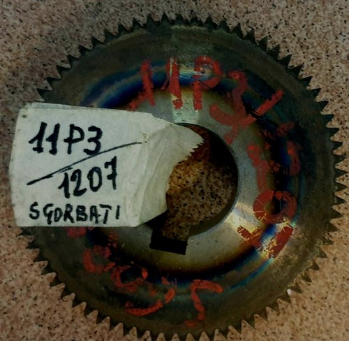 Corona dentata sgorbati - corona,