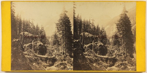 Germania foresta nera - foresta, foto