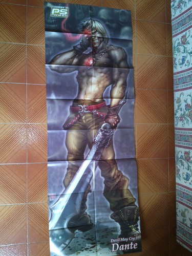 Poster devil may cry - poster, 3