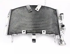 Radiatore Acqua Ducati Monster