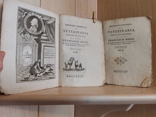 Francesco bonsi dizionario - bonsi,