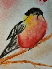 QUADRO Pettirosso Uccello acquerello su carta 15x21 cm.Uccellino ACEO bird