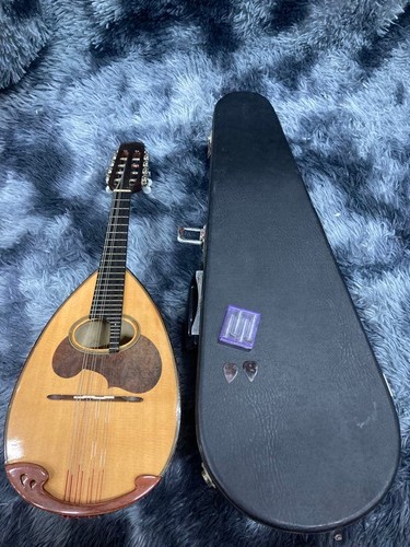 Suzuki mandolino - m-30,