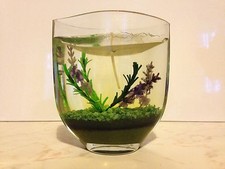 Candela gel in vaso di vetro - Gel candle in glass pot. Altezza cm12 - 5 in high