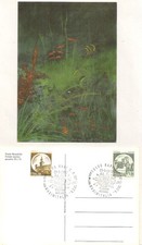 Bari 29.3.1992. Maximitalia