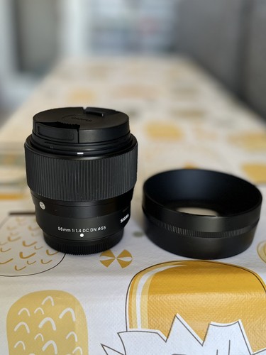 Sigma 56mm dn fuji - f/1.4, dc