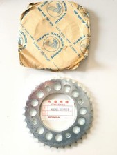 CORONA POSTERIORE 34 DENTI