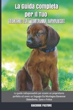 La Guida Completa per Il Tuo