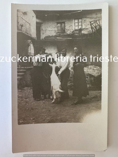 Foto primo 900 cassinelle - 900,