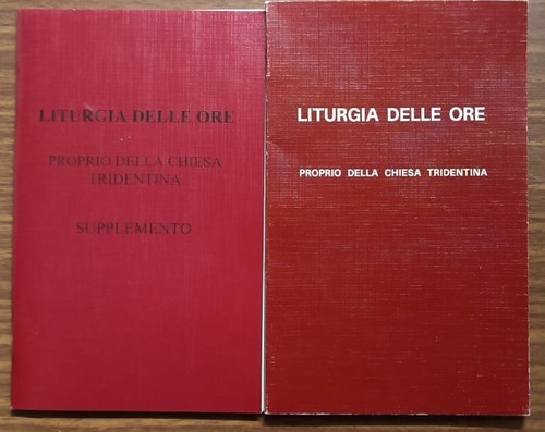 Liturgia delle ore proprio