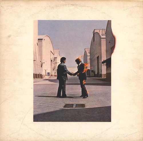 Pink floyd wish - pink,