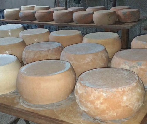 Pecorino sardo - pecorino,