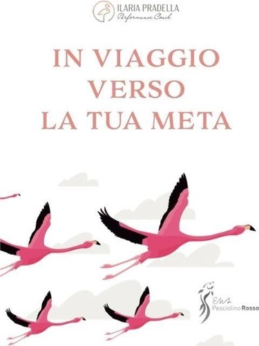 Libri pradella ilaria - libri,