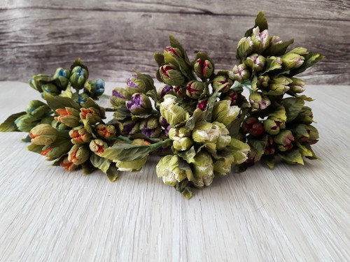 Boccioli papavero fiori - boccioli,