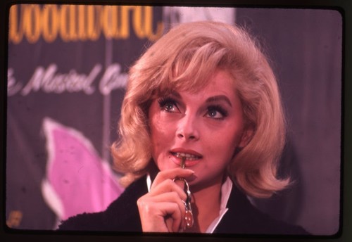 Pellicola virna lisi - pellicola,