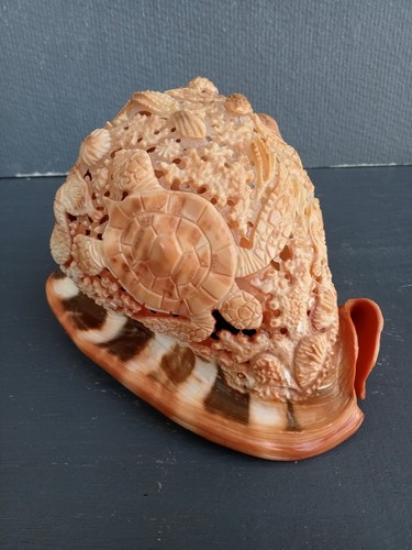 Conchiglia intagliata mano - a,