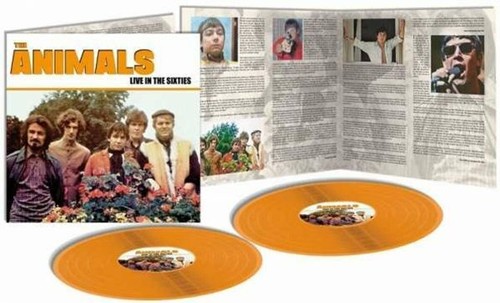 Vinile animals live in - animals,