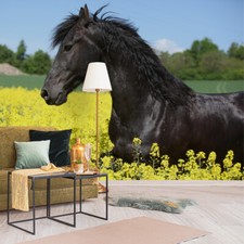 VINYL Fototapete XXL TAPETE