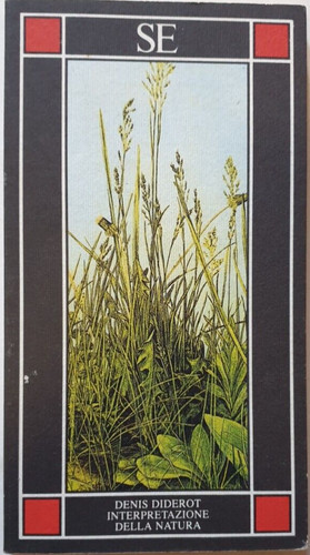 Interpretazione della natura