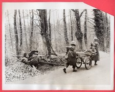 1940 BEF pistola anticarro barella portatori del reggimento Lincoln foto notizie originale