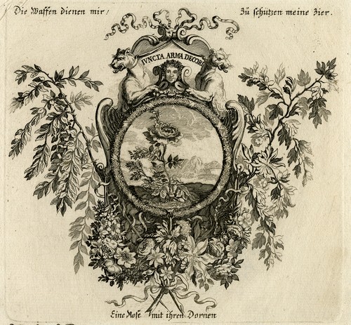 Stampa antica una - antica,