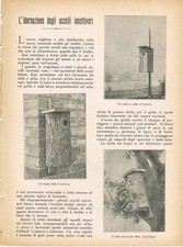 L'IBERNAZIONE DEGLI UCCELLI INSETTIVORI (da "LA LETTURA" di dicembre 1905)