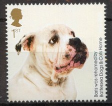 Bulldog cross dog GB 2010 MNH