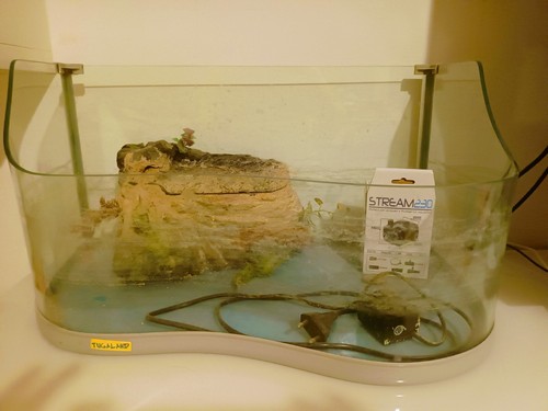 Acquario per tartarughe - acquario,