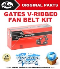 Gates rib fan belt - v-rib,