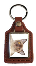 Burmese Cat Pet Brown Leather