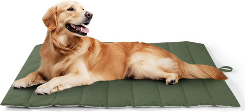 Cuccia cane grande per interno - cane,