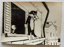 fo5228,foto originale,personaggi famosi, il gatto silvestro e titti