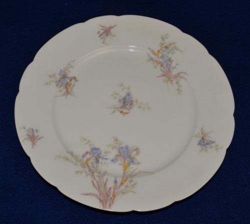 Antico campo haviland - antico,