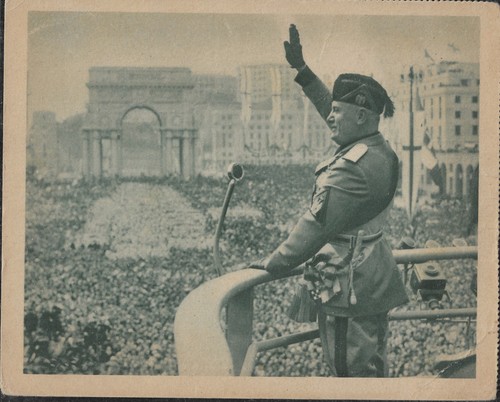Cartolina postale - cartolina,