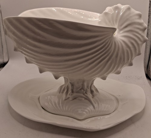 Vintage nautilus white shell - nautilus,