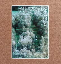 Attraverso gli ulivi volantino