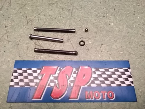 Spinotti motore motor pins - motore,