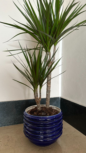 Antico vaso ceramica - antico,