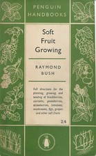 soft fruit growing bush