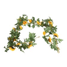 Girasole Artificiale Ranke