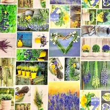 Cerata Tovaglia Estate Fiori Patchwork Lavanda B5016-01 Angolare Rotondo Ovale